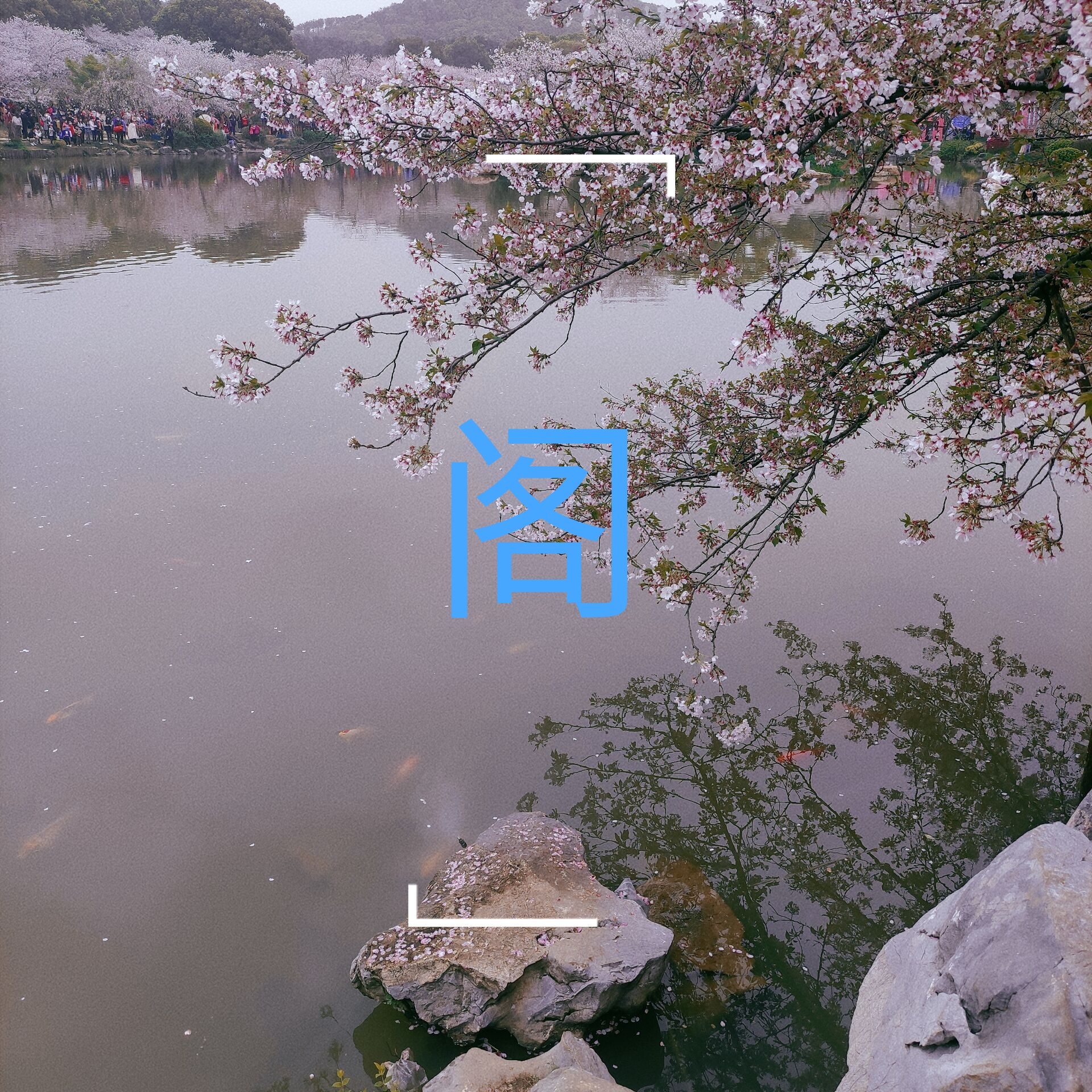 轻文阁